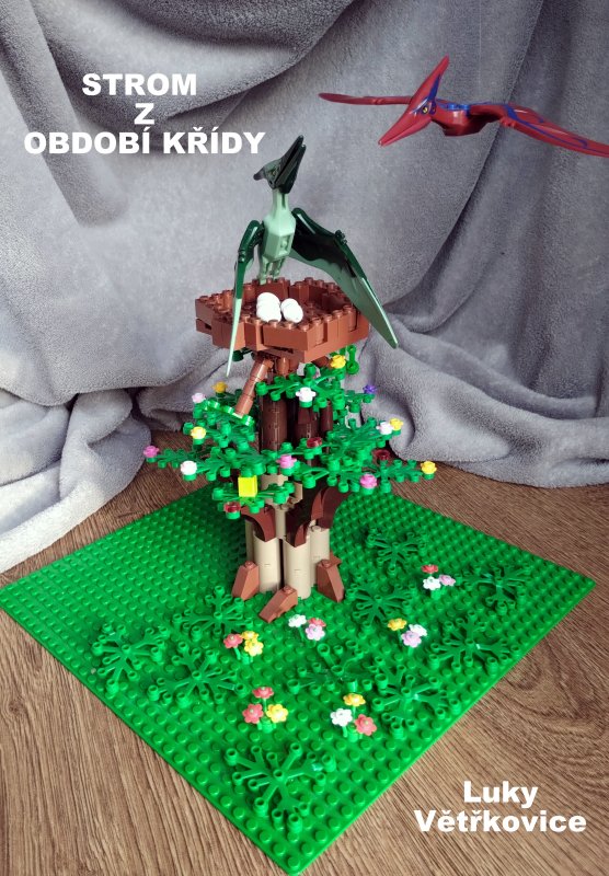 foto SOUTĚŽ Strom 14995