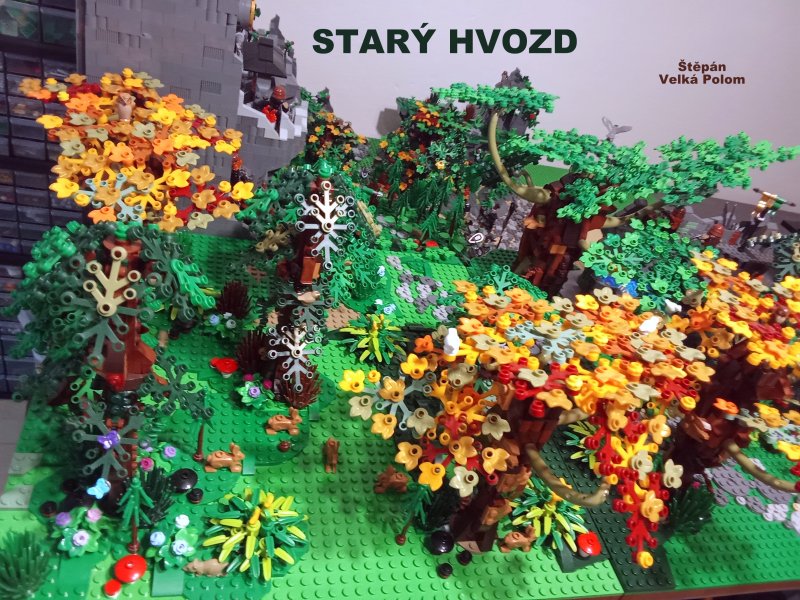 foto SOUTĚŽ Strom 14997