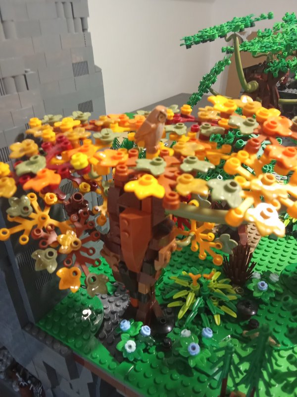 foto SOUTĚŽ Strom 14998