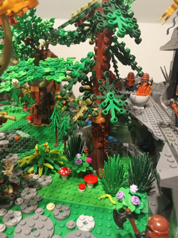 foto SOUTĚŽ Strom 14999