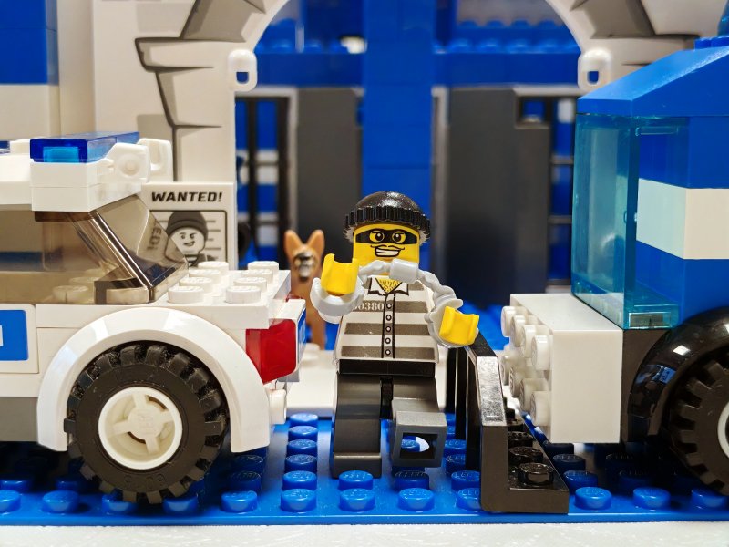 foto Lupiči a poliši v Artu 15054