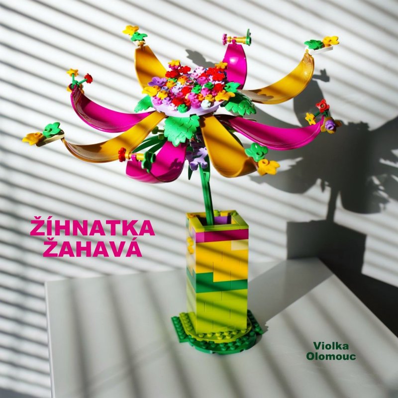 foto SOUTĚŽ Květina