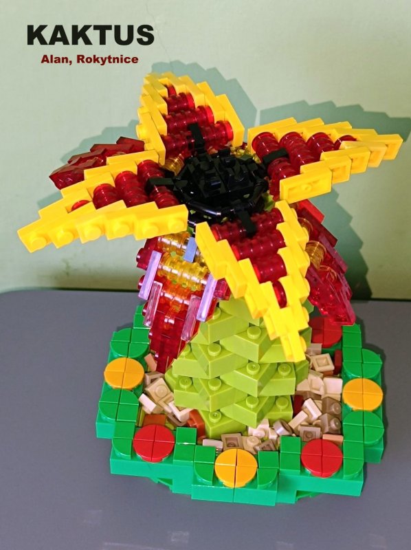 foto SOUTĚŽ Květina 15107