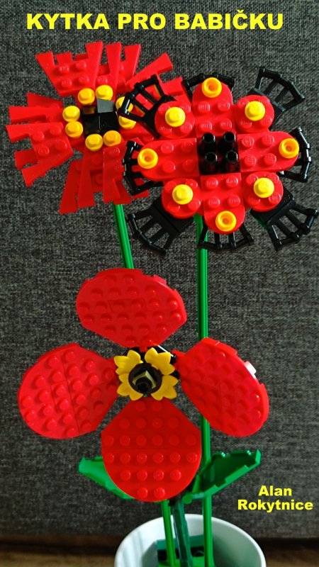 foto SOUTĚŽ Květina 15109