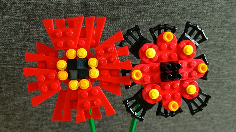 foto SOUTĚŽ Květina 15110