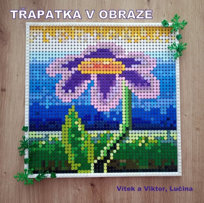 foto SOUTĚŽ Květina 15111