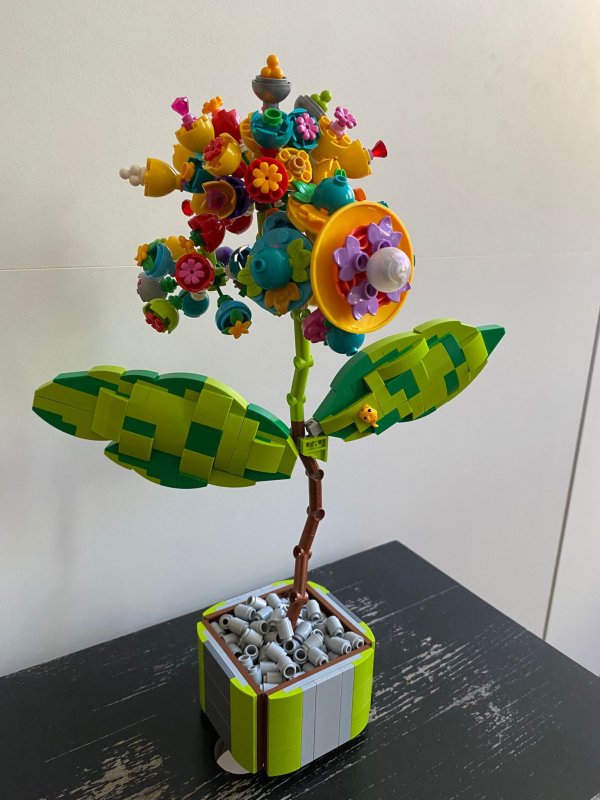 foto SOUTĚŽ Květina 15113