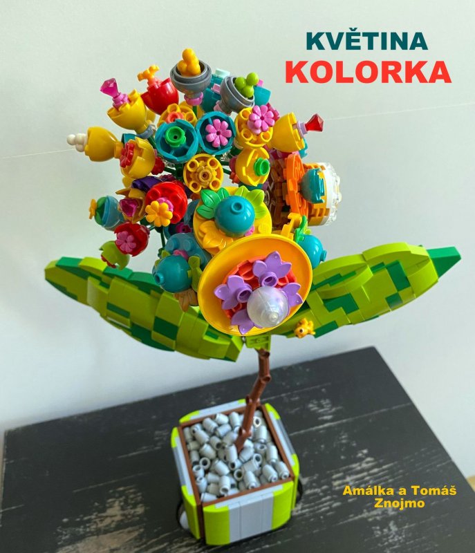 foto SOUTĚŽ Květina 15112