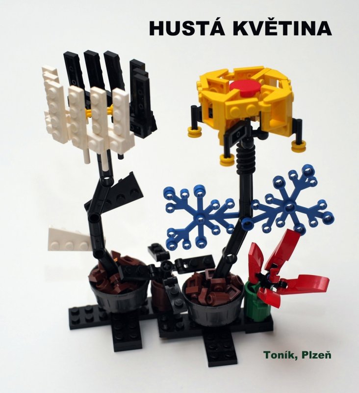 foto SOUTĚŽ Květina 15116