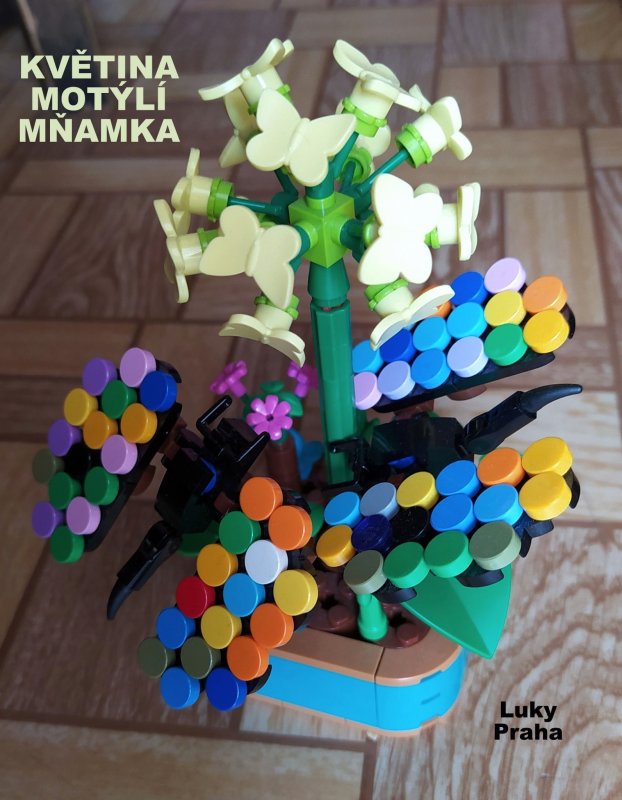 foto SOUTĚŽ Květina 15117