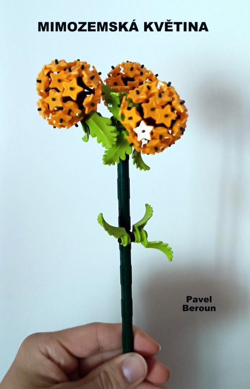 foto SOUTĚŽ Květina 15118