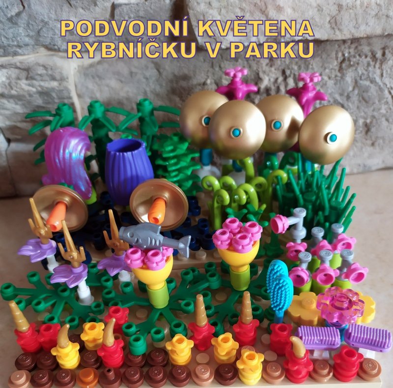 foto SOUTĚŽ Květina 15119