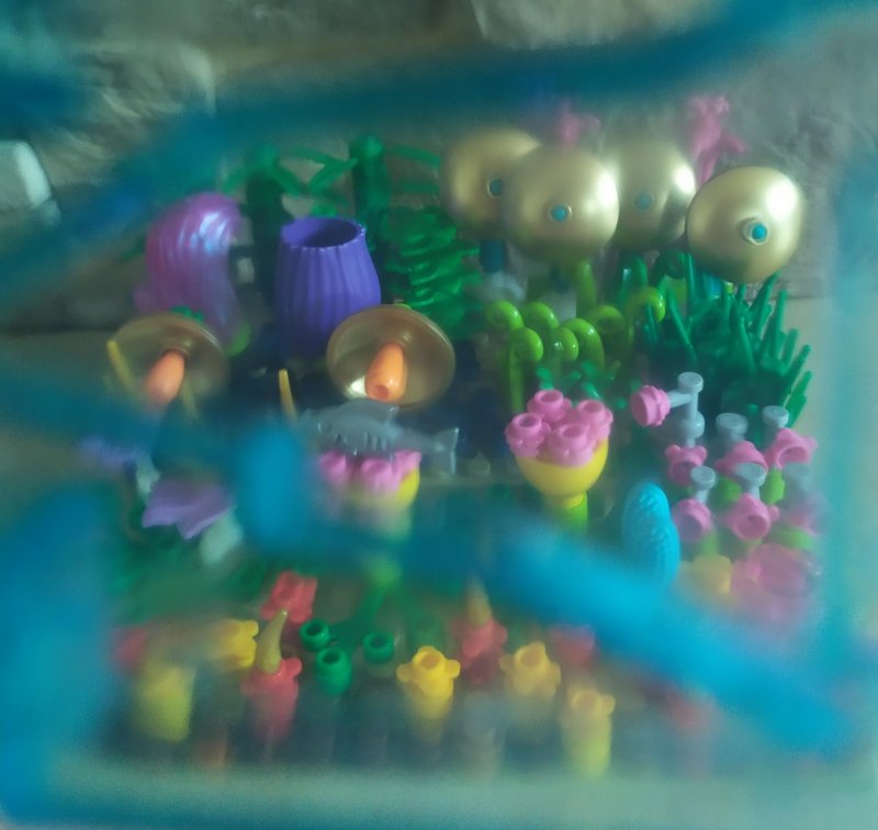 foto SOUTĚŽ Květina 15120