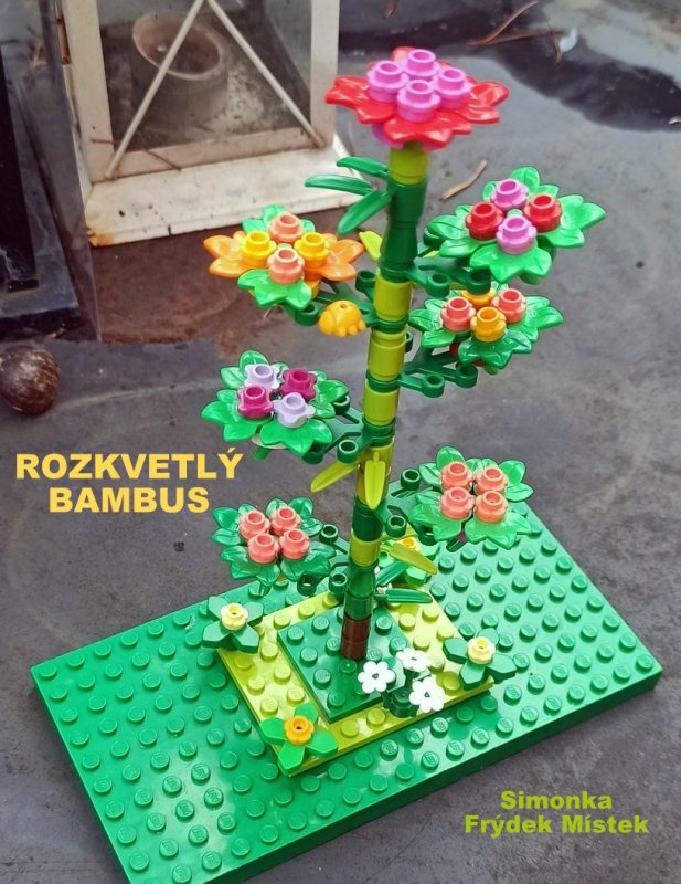 foto SOUTĚŽ Květina 15121