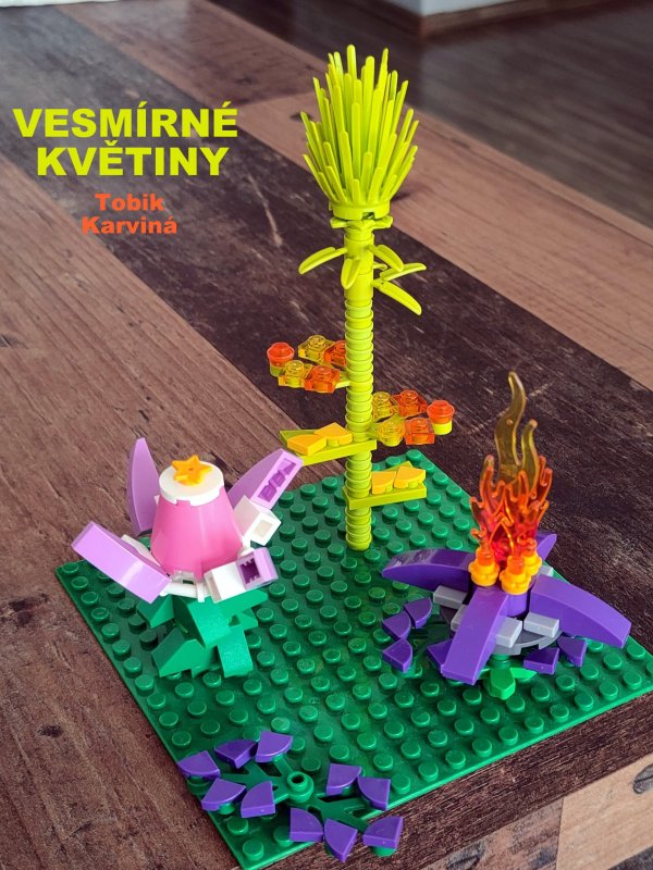 foto SOUTĚŽ Květina 15122