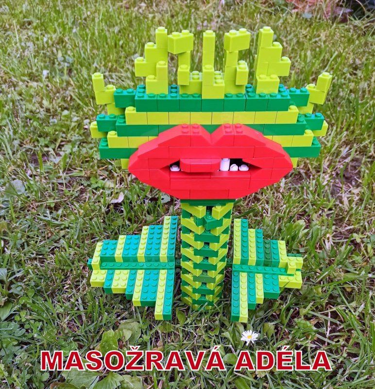 foto SOUTĚŽ Květina 15123