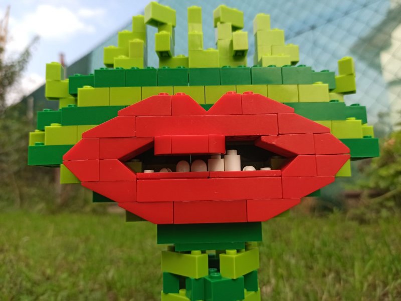 foto SOUTĚŽ Květina 15124