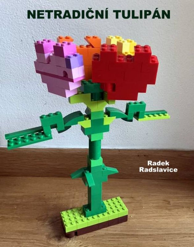 foto SOUTĚŽ Květina 15126