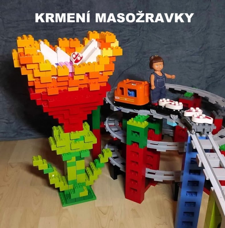 foto SOUTĚŽ Květina 15127