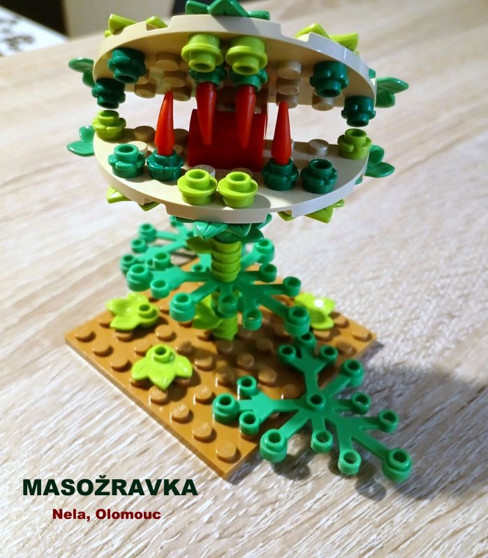 foto SOUTĚŽ Květina 15125