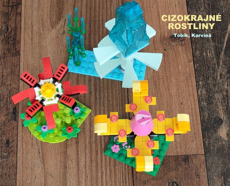 foto SOUTĚŽ Květina 15129