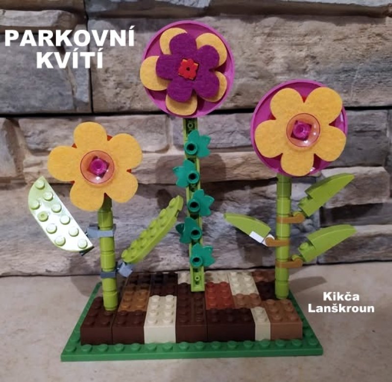 foto SOUTĚŽ Květina 15131