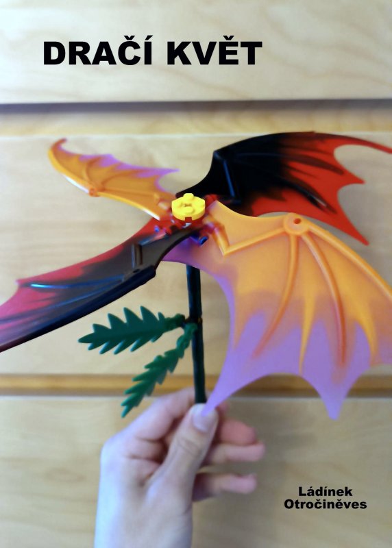 foto SOUTĚŽ Květina 15132