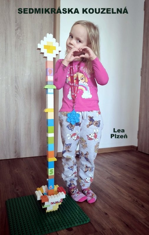 foto SOUTĚŽ Květina 15134