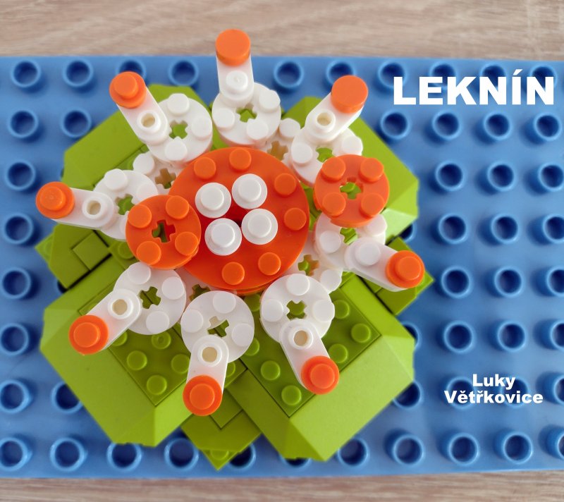 foto SOUTĚŽ Květina 15136