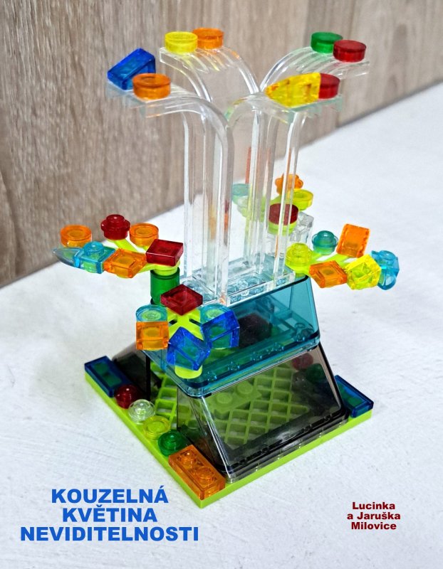 foto SOUTĚŽ Květina 15137