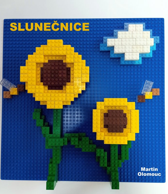 foto SOUTĚŽ Květina 15139