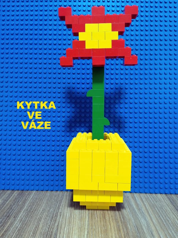 foto SOUTĚŽ Květina 15140