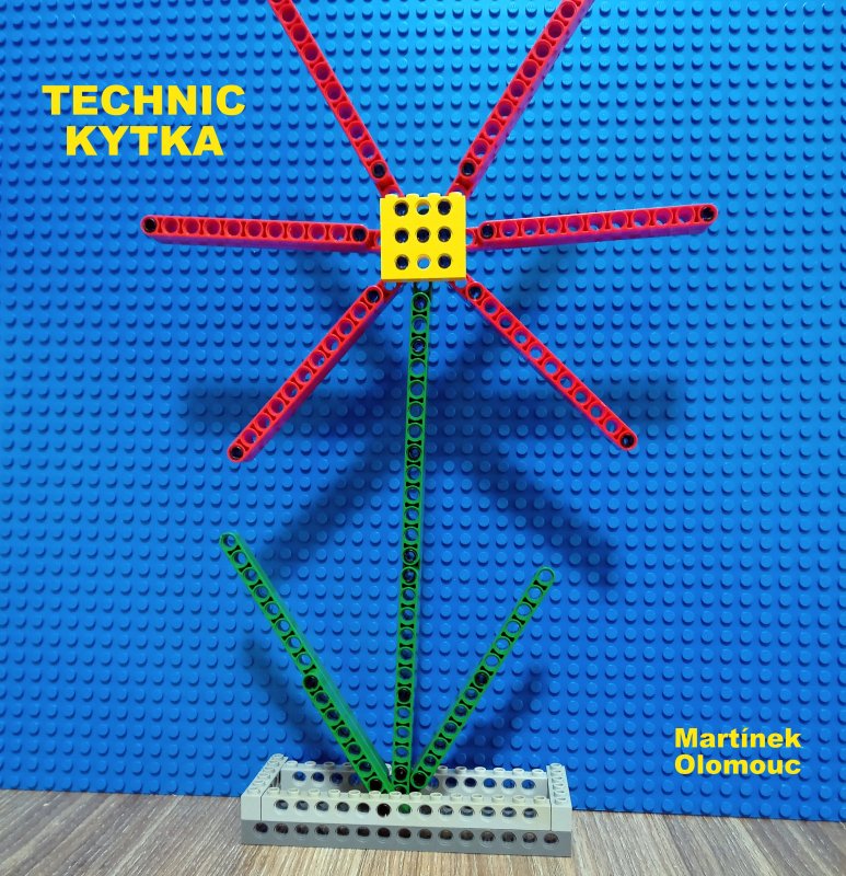 foto SOUTĚŽ Květina 15141