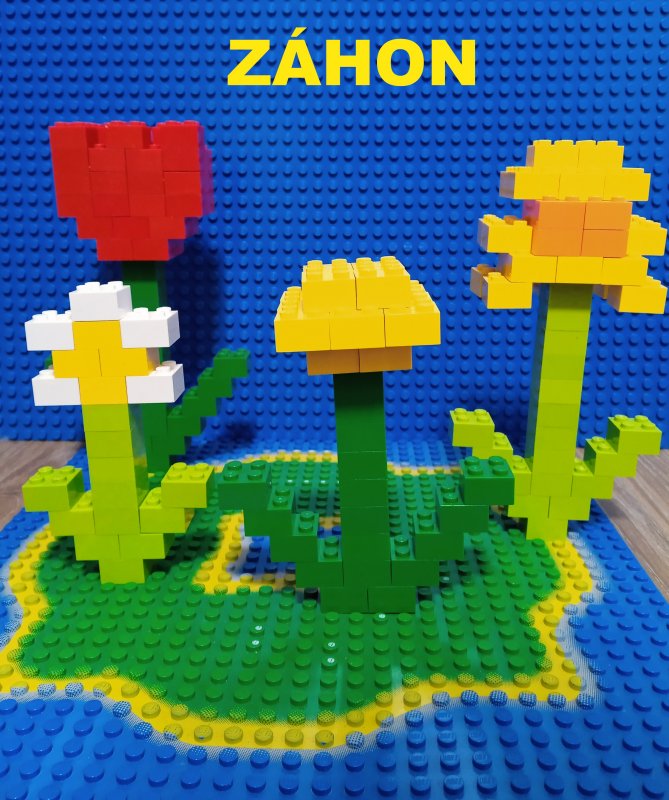 foto SOUTĚŽ Květina 15142