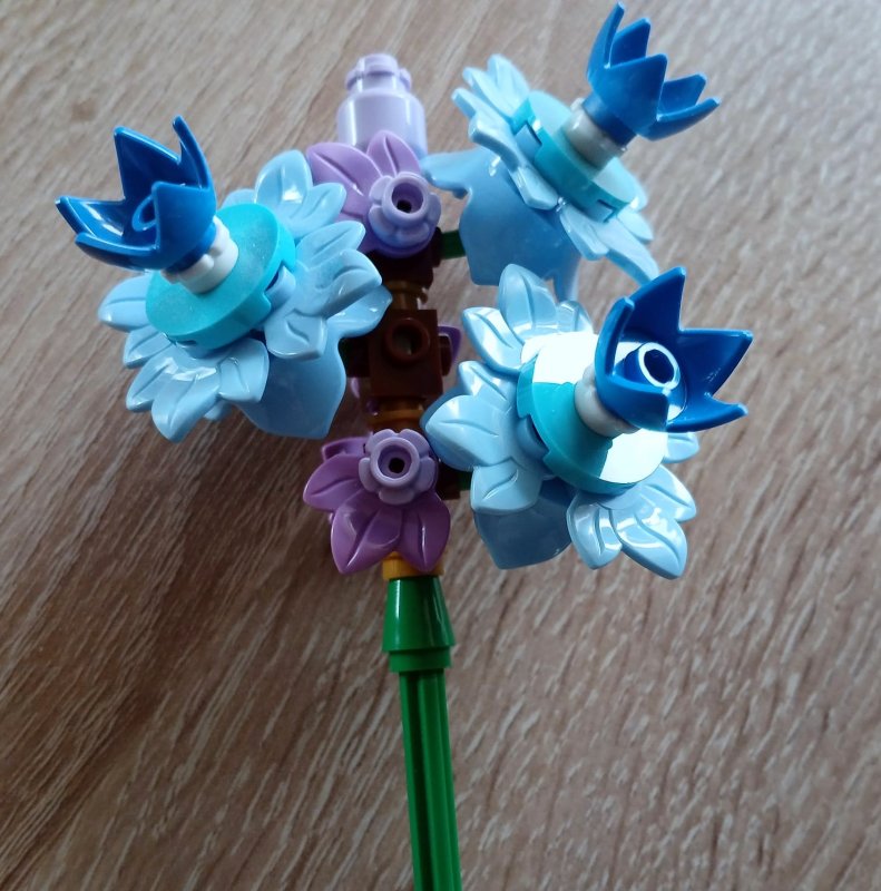 foto SOUTĚŽ Květina 15145