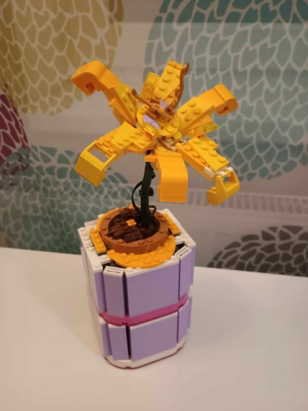 foto SOUTĚŽ Květina 15148