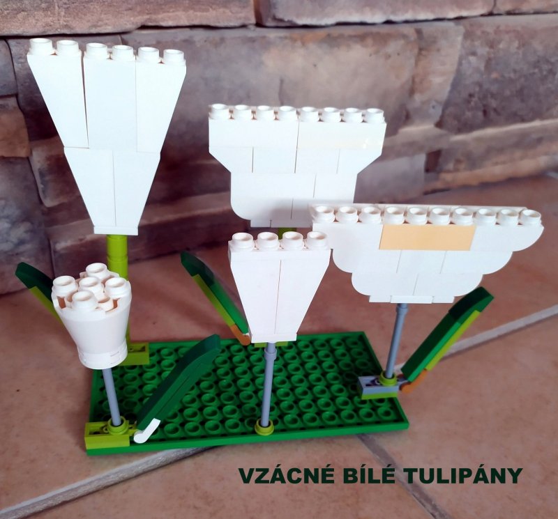 foto SOUTĚŽ Květina 15151