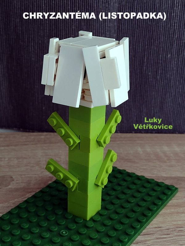 foto SOUTĚŽ Květina 15152