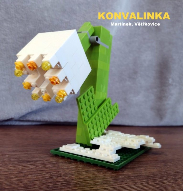 foto SOUTĚŽ Květina 15153