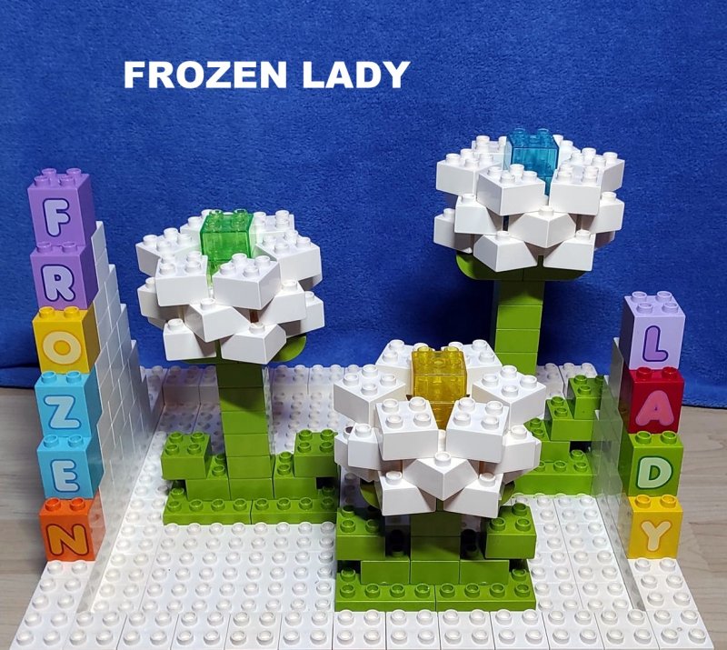 foto SOUTĚŽ Květina 15154