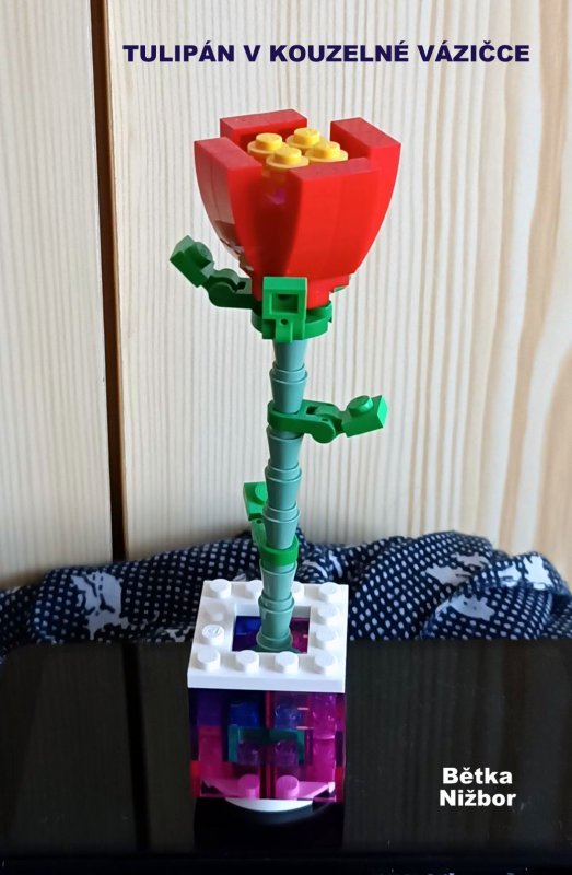 foto SOUTĚŽ Květina 15155