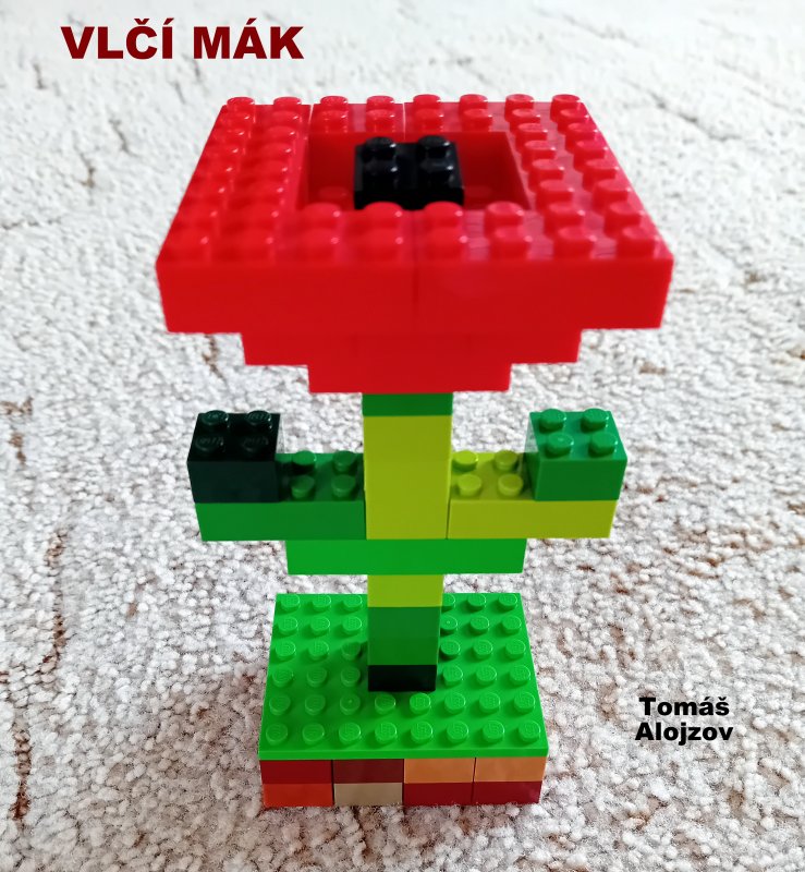 foto SOUTĚŽ Květina 15156