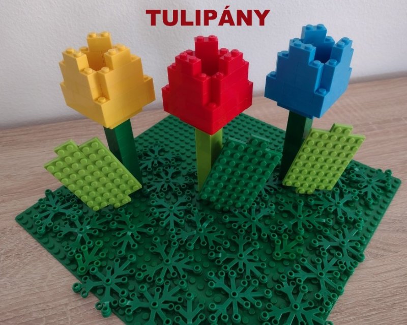 foto SOUTĚŽ Květina 15157