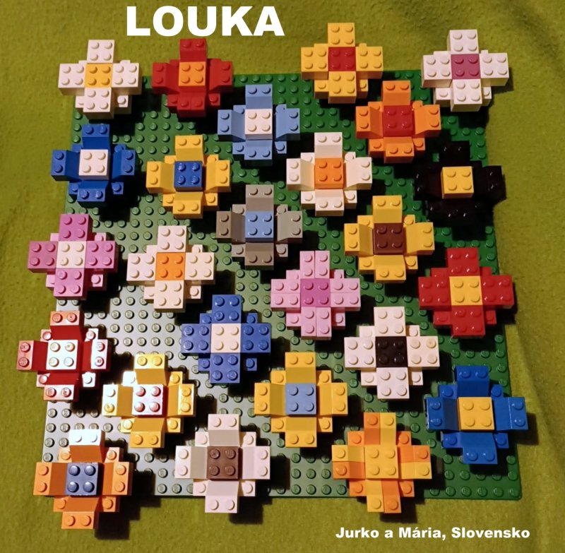 foto SOUTĚŽ Květina 15159