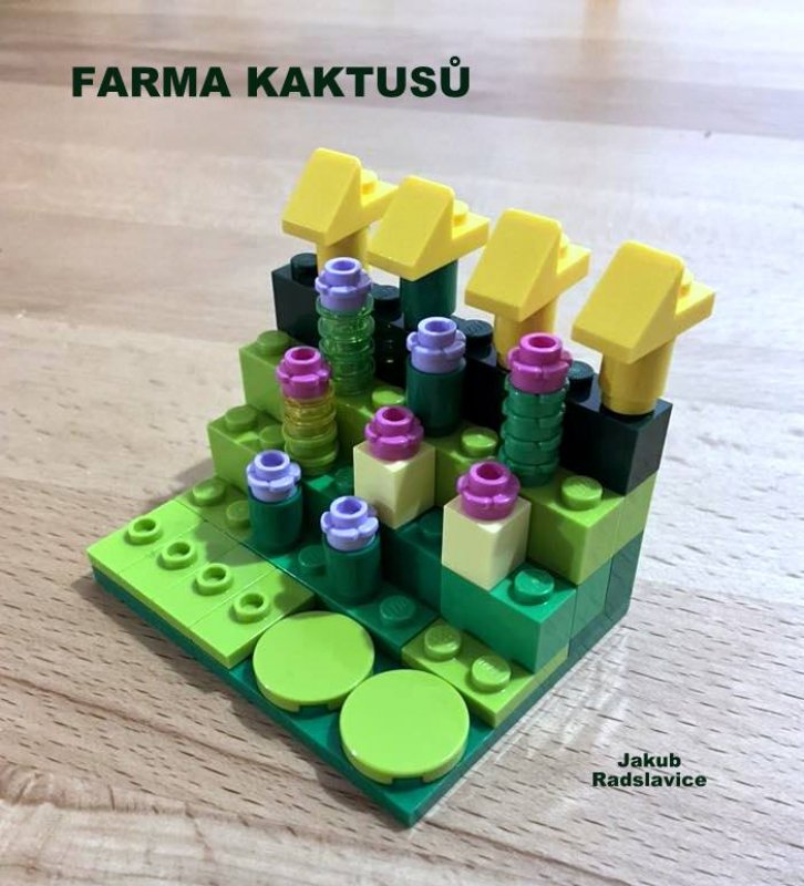 foto SOUTĚŽ Květina 15161