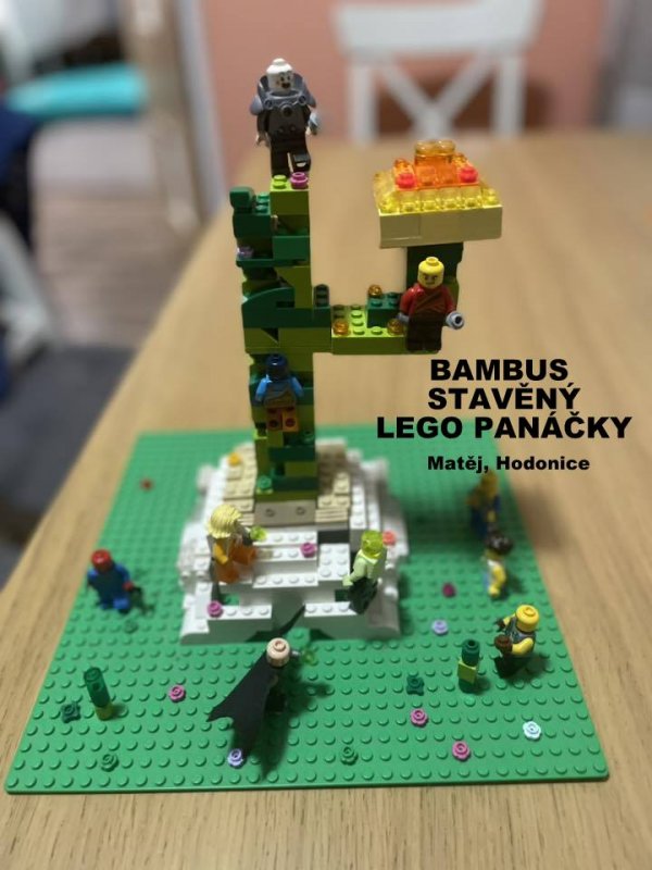 foto SOUTĚŽ Květina 15162