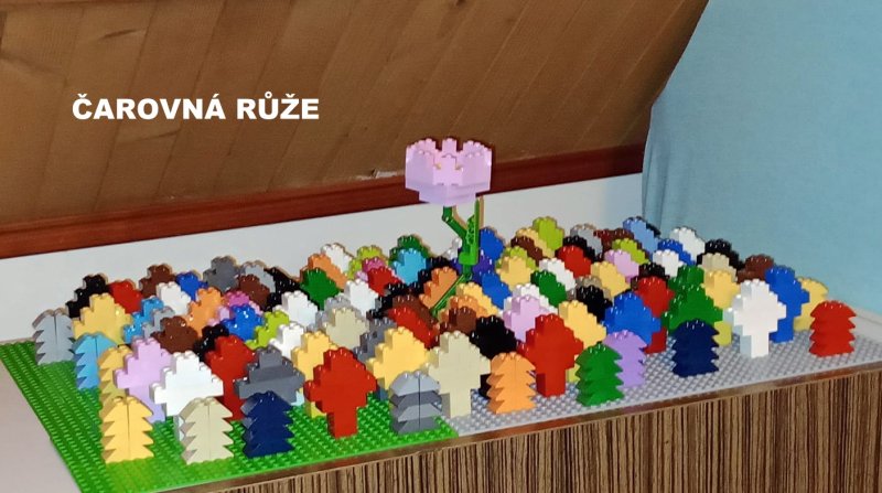 foto SOUTĚŽ Květina 15160