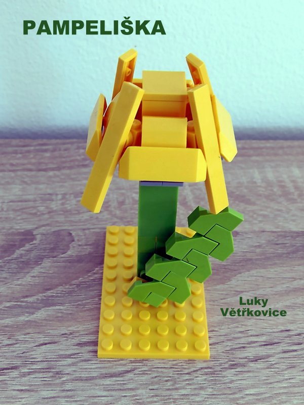 foto SOUTĚŽ Květina 15163