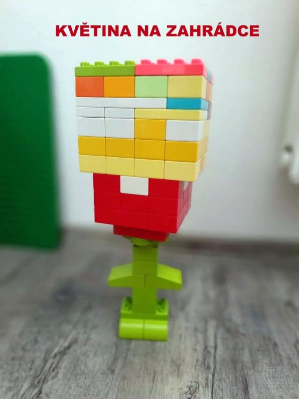 foto SOUTĚŽ Květina 15164