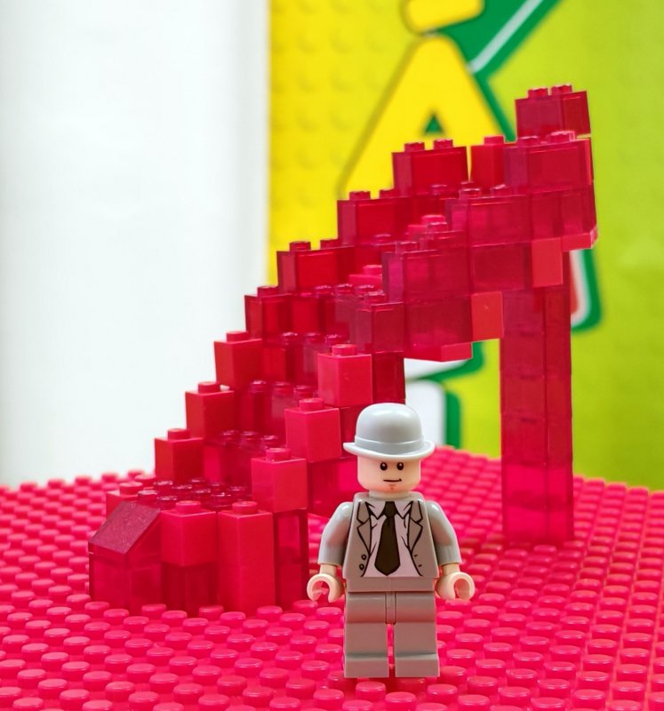 foto Projektový den žáků ZŠ 15303